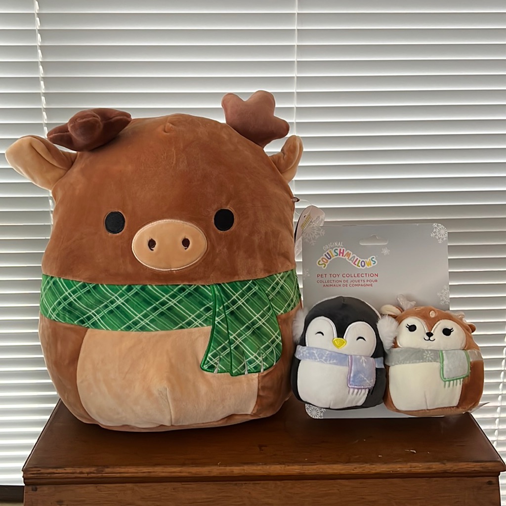 Squishmallow Set